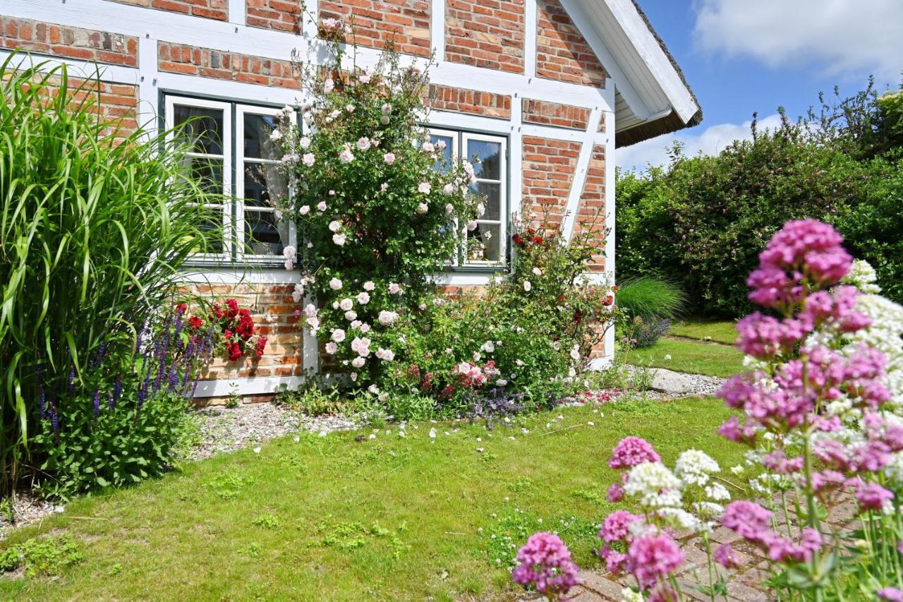 Landhaus Vilmnitz - Wohnung 7 Exteriér fotografie