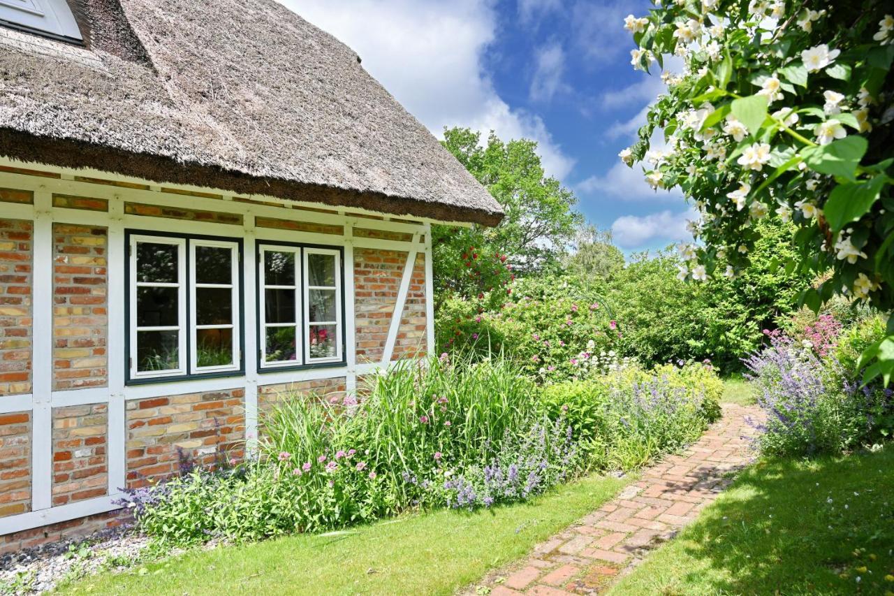 Landhaus Vilmnitz - Wohnung 7 Exteriér fotografie