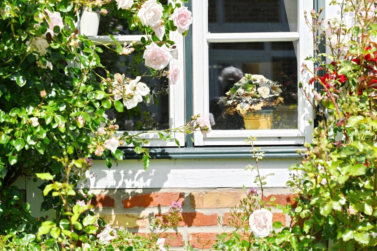 Landhaus Vilmnitz - Wohnung 7 Exteriér fotografie